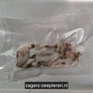 Mosselen - Gezouten & Gevacumeerd (12 stuks)