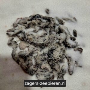 Gezouten Zeeaas