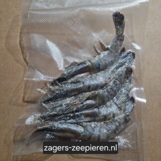 Black Tiger Garnalen – Gezouten & Gevacumeerd (6 stuks)